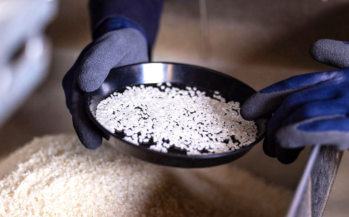  いとし米 厳選ブレンド 5kg (糸島産) 糸島市 / 三島商店 [AIM020] 米 白米