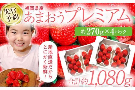 【先行予約/2026年】大木町産 あまおう いちご 約270ｇ×4パック【2026年2月以降順次発送】 イチゴ 苺 果物 おすすめ 福岡県 大木町 CL001