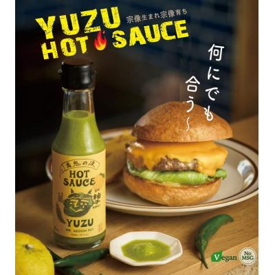 ふるさと納税 宗像市 旨味爆発!柚子香る国産クラフトホットソース「青鬼の涙」3本セット【フミ子印】_HA1677