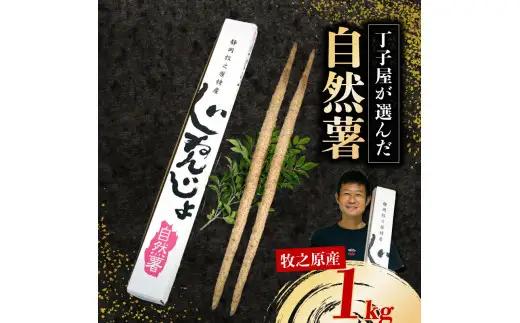 【R8年12月上旬からの発送】 自然薯 1ｋｇ 丁子屋が選んだ 自然薯