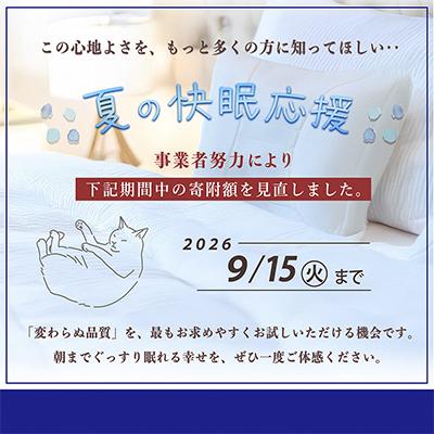 ふるさと納税 亀岡市 【夏の快眠応援】ひとつひとつ丁寧にまごころをこめて匠がつくった「エアープロテクション枕」 |  | 01