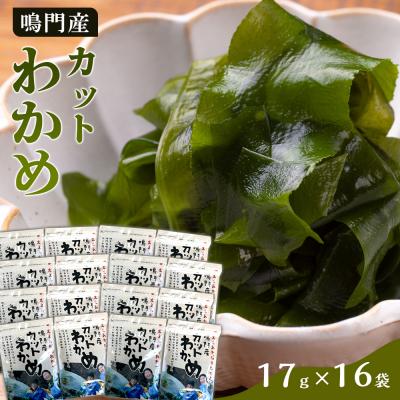ふるさと納税 徳島市 【HACCP認定工場】カットわかめ詰合せ(17g×16pc)【AS004】