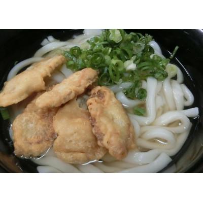 ふるさと納税 飯塚市 簡易包装　博多ごぼう天うどん12食セット(飯塚市)