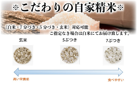 令和8年産・新米 あきさかり 5kg 福井県産米 (玄米) 2026年9月下旬発送 [A-0266_04]