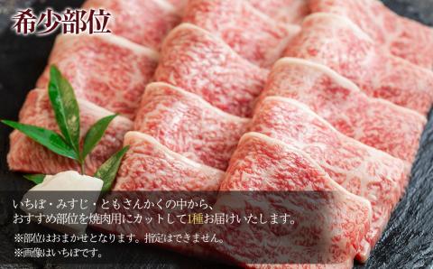 A5飛騨牛希少部位 おまかせ1種 430g いちぼ みすじ ともさんかく【冷凍】 飛騨牛 牛肉 赤身 ブランド牛 肉ギフト やきにく 焼き肉 焼肉用 【11-1015】