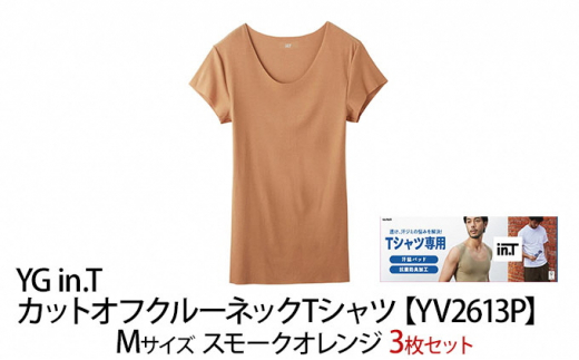 
グンゼ YG in.T カットオフクルーネックTシャツ【YV2613P】Mサイズ スモークオレンジ3枚セット GUNZE[№5716-0425]
