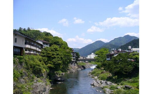 
										
										市内共通宿泊券
									