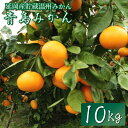 【ふるさと納税】青島みかん 10kg 12月下旬以降発送開始 蜜柑 柑橘 フルーツ 宮崎県延岡市 送料無料