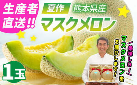 【生産者直送】☆夏作☆ マスクメロン 1玉 約1.6kg以上 【2026年7月上旬発送開始】 フルーツ くだもの 果物 メロン めろん 熊本県産