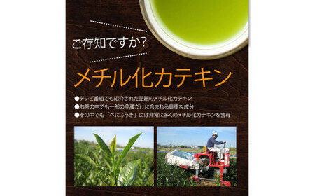 べにふうき茶 80g×3袋 計240g お茶 茶 緑茶 茶葉 べにふうき 静岡 静岡茶