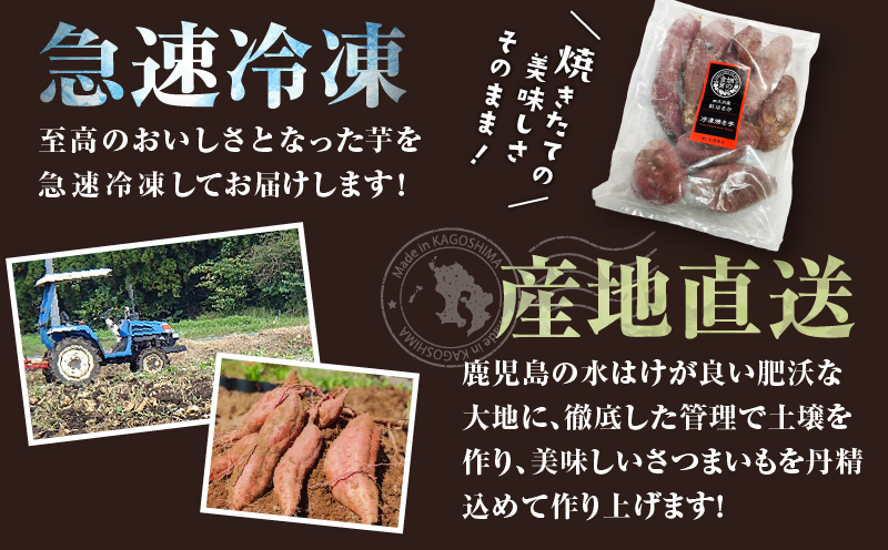 焼き芋紅はるか 1kg＆焼き芋チップス（丸型） 3袋　K181-013_01