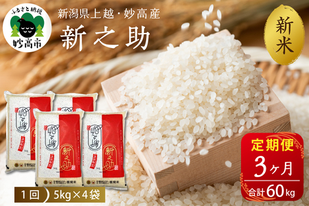 2025年12月上旬発送【定期便】令和7年産 新潟県上越・妙高産新之助20kg×3回（計60kg）