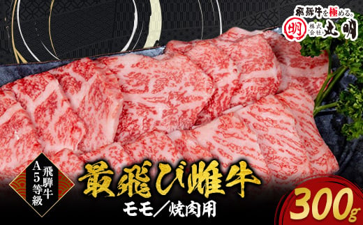＜最飛び雌牛＞飛騨牛A5等級モモ焼き肉用　300g【1520154】