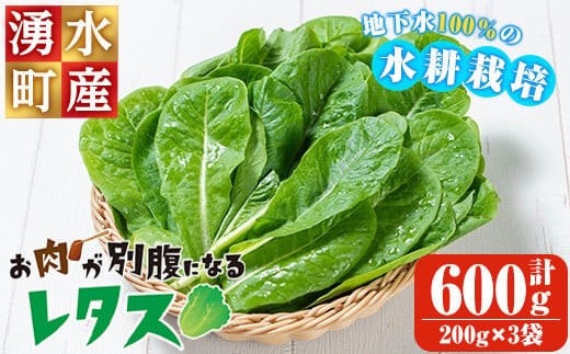 y470 《先行予約受付中！2026年9月以降順次発送》お肉が別腹になるレタス 計600g (200g×3袋) 国産 九州産 鹿児島県産 湧水町産 野菜 やさい レタス ロメインレタス 焼肉 焼き肉 バーベキュー BBQ 冷しゃぶ サラダ 水耕栽培【霧島製萌】