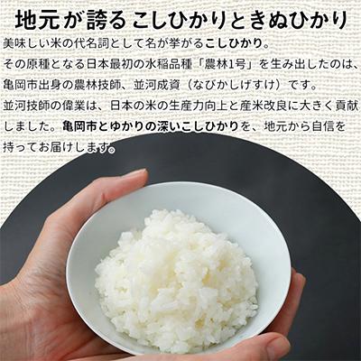 ふるさと納税 亀岡市 【毎月定期便】京都丹波米 こしひかり5kg・きぬひかり5kg 食べ比べ全3回 |  | 01