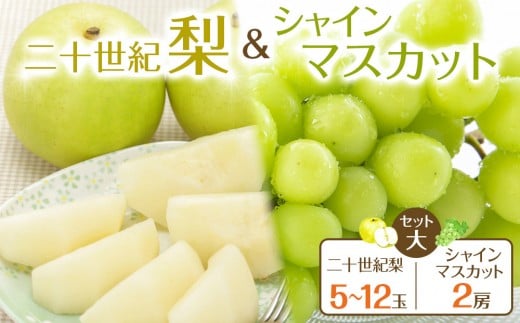 285.【先行予約】二十世紀梨とシャインマスカットのセット 大 ※8月下旬～9月下旬頃に順次発送予定【先行予約 梨 なし 果物 フルーツ くだもの 鳥取県 北栄町 おすすめ 人気 送料無料】