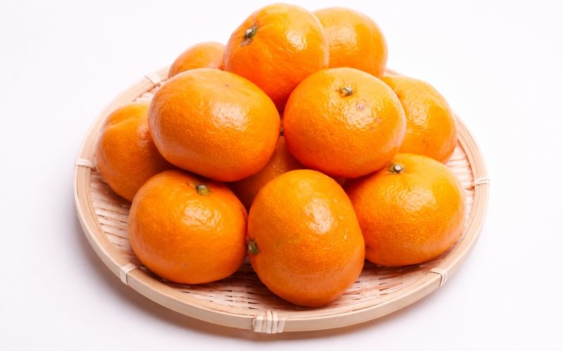 【先行予約】プレミアム 有田みかん（完熟）5kg+250g（傷み補償分）※北海道・沖縄・離島配送不可 / みかん ミカン くだもの 果物 柑橘 フルーツ 和歌山 有田みかん 【ikd114D】