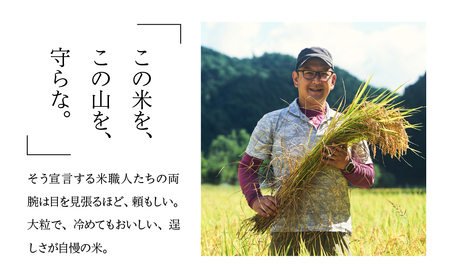 即納【令和7年産米】 山仙 (いのちの壱) 2kg×2袋【51-28】