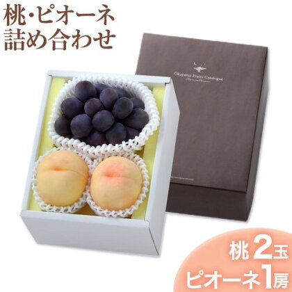 【2026年発送先行予約】桃・ピオーネ詰め合わせ 約1kg クール便 冷蔵便 桃 もも 葡萄 ブドウ ぶどう ピオーネ フルーツ セット 先行予約 晴れの国おかやま館 《2026年8月下旬‐9月中旬頃出荷》 フルーツ 果物 果実 岡山県 笠岡市---H-22a---