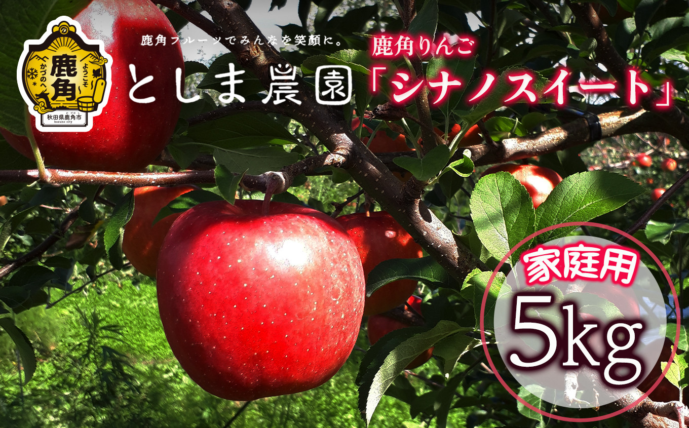 
                  《先行予約》 訳あり 鹿角りんご「シナノスイート」家庭用 約5kg（12～20玉）●2026年10月15日発送開始【としま農園】リンゴ 完熟 旬 県産りんご お中元 お歳暮 贈り物 お見舞い グルメ ギフト 故郷 秋田 あきた 鹿角市 鹿角 送料無料 
                