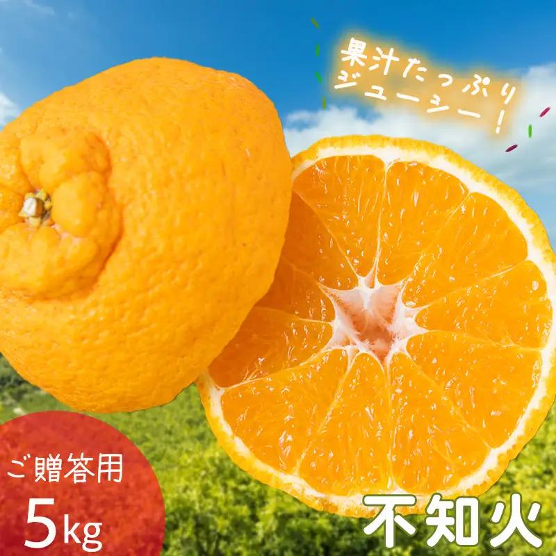 【2027年2月下旬頃から順次発送】不知火 しらぬい 約5kg 【ご贈答用】でこぽんと同品種 柑橘類 先行予約 フルーツ 柑橘類 先行予約 果物 フルーツ みかん シラヌイ 人気 おすすめ 愛媛 松山 田中農園【TNN0012】