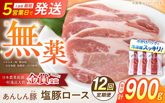 
            【12回定期便】《日本農業新聞一村逸品大賞にて金賞受賞》塩豚ロース 900g 計10.8kg 豚肉 塩豚ロース 豚 味付き 味付け肉 小分け 薄切り 金賞受賞 日本農業新聞 ロース 無薬 無薬育ち 薬不使用 普段使い ぶた肉 冷凍肉 肉料理 焼肉 炒飯 チャーハン 人気 おすすめ ランキング 国産豚 冷凍 真空パック 13万8千円 138000円 赤身 白川町 / 藤井ファーム [AWAF056]
          