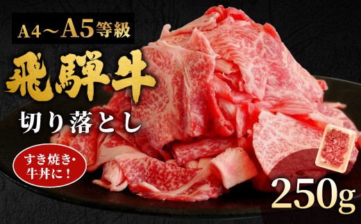 【10月発送】 飛騨牛 A4~A5等級 切り落とし 250g 岐阜県産 A4 A5 すき焼き 牛丼 炒め物 おかず 肉じゃが カレー 黒毛和牛 牛肉 牛 国産 お取り寄せ ごちそう 自宅用 部位おまかせ 和牛 訳あり 小分け 最短発送 肉のひぐち