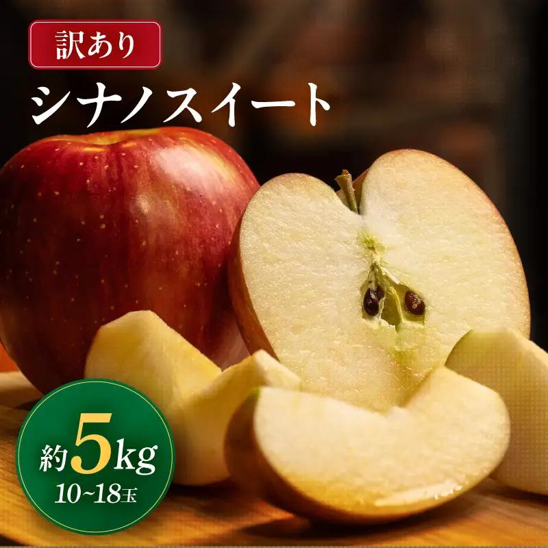 南信州産 シナノスイート 訳あり 約5kg 10～18玉 ＜2026年10月中旬～順次発送＞ ＪＡみなみ信州ＤＭセンター飯田市
