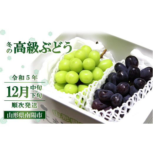 【令和5年産】 JA 冬の高級ぶどう (シャインマスカット・ウィンク) 約1.7kg (計2～3房 秀) 《令和5年12月中旬～下旬発送》 『JA山形おきたま』 山形県 南陽市 [822]