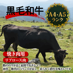 牛肉 焼肉用 800g 霜降り 特選 リブロース 土佐黒毛和牛 Ａ５～Ａ４ 等級 冷凍 高知県 須崎市