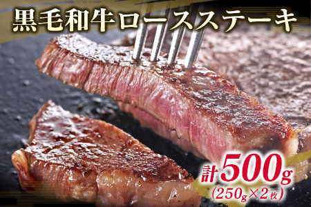 数量限定 黒毛和牛 ロースステーキ 250g×2枚 豚 ハンバーグ 100g×4個 合計900g 肉 牛 牛肉 国産 人気 おかず ステーキ ロース 焼肉 食品 送料無料_D86-23