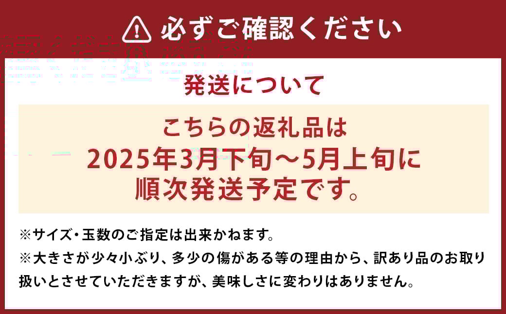 訳あり ご家庭用 長崎県時津町産 不知火 約5kg