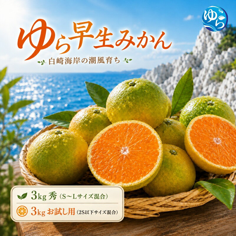 【ふるさと納税】ゆら 早生 みかん 秀品 お試し用 3kg 由良みかん / 温州みかん 和歌山 甘い 家庭用 ※2027年10月上旬～10月下旬に順次発送予定