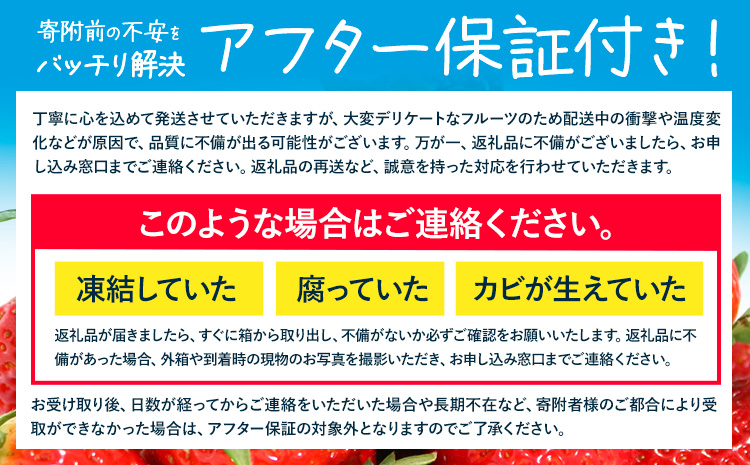 ★2027年出荷★ あまおう いちご 1000g 【着日指定不可】《2月中旬-3月中旬頃出荷》いちご イチゴ フルーツ 特産品 ---kr_ckramar_q2_26_9500_1000g---