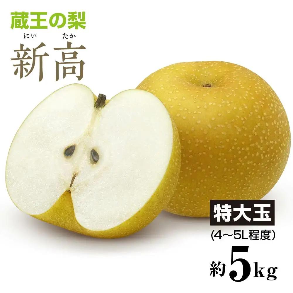 【先行予約】蔵王の新高梨約5kg 特大玉(4～5L程度）　【04301-0141】