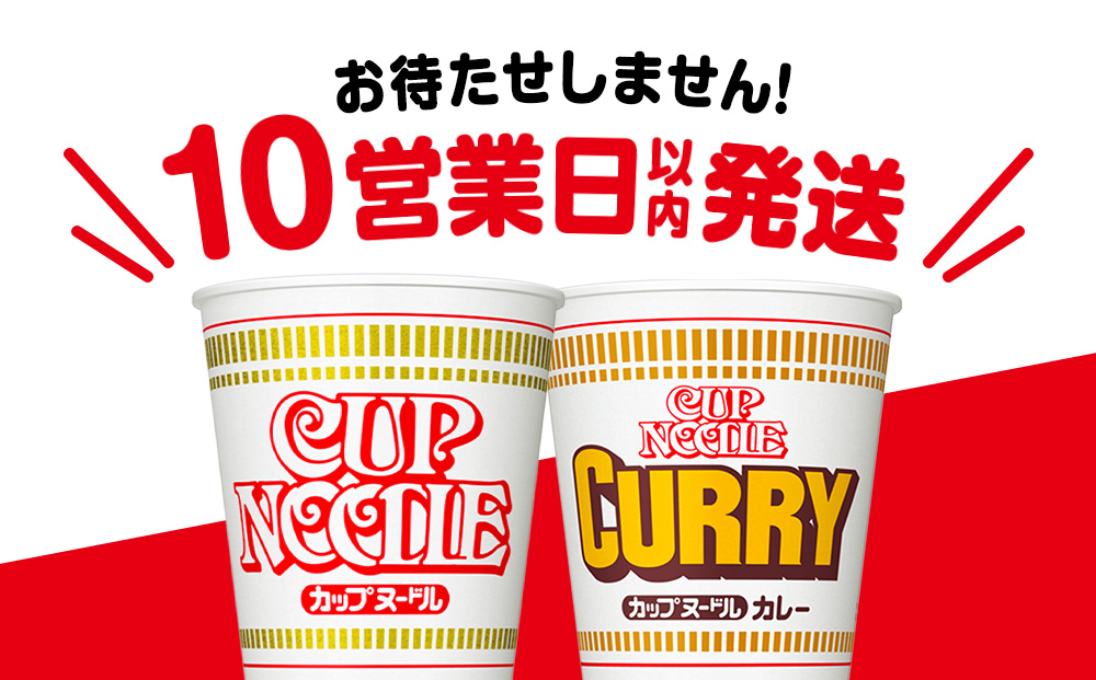 日清ヌードル2種セット カップヌードル・カレーヌードル各20食 ラーメン 麺 即席麺 麺類 カップ麺 インスタント カップラーメン