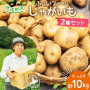 【ふるさと納税】北海道産 じゃがいも 2種 約10kg とうや メークイン 北あかり ジャガイモ 馬鈴薯 ポテト 芋 イモ 旬 産地直送 野菜 農作物 甘い ホクホク カレー コロッケ 人気 ふじいファーム　 伊達市 　お届け：2024年9月中旬～11月下旬