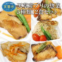 【ふるさと納税】ブリ 惣菜 5種類 12個 セット 煮付け 南蛮 ガーリックバター醤油 甘辛ネギ 香草パン粉 レンジ可 お手軽 海鮮 加工品 魚貝類 冷凍 熊本県 天草 お取り寄せ グルメ お取り寄せグルメ 送料無料