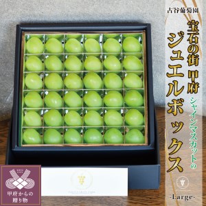 〈2024年度配送分〉宝石の街甲府の『シャインのジュエルBox（L）』