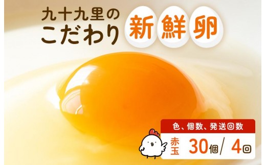 【定期便4回】九十九里ファームこだわりたまご贈答用 30個 ～あおい海・みどりの里～《赤玉》 たまご 卵 玉子 タマゴ 赤玉 卵かけご飯 新鮮 旨み 甘み 贈答用 贈答 ギフト 贈り物 千葉県 匝瑳市