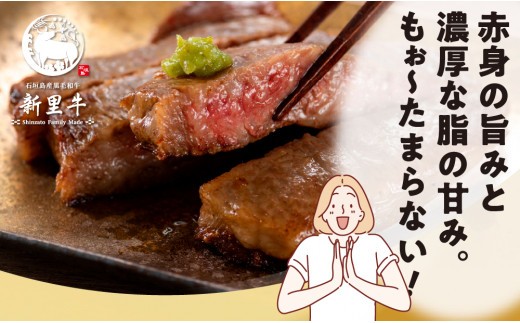 ＜期間限定 春フェア＞ 石垣島産 黒毛和牛 新里牛 リブロースステーキ（200g×2）合計400g SZ-29