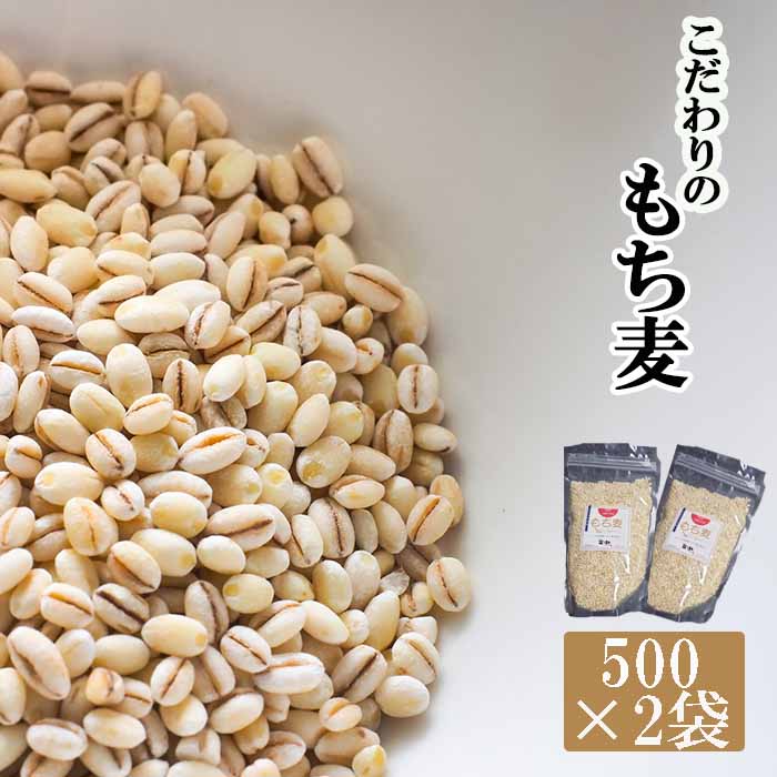 【ふるさと納税】 岩手県産 もち麦 もちむぎ はねうまもち 1kg (500g×2袋) ／ もちむぎ 雑穀 雑穀米 もち麦ご飯 ご飯 ごはん 麦ごはん 麦ご飯 お粥 おかゆ 主食 混ぜるだけ 混ぜて炊くだけ 小分け ジッパー付き 農家直送 産地直送 岩手県 八幡平市 送料無料 十一代目藤助