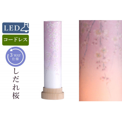 
盆提灯 白紋天 しだれ桜 コードレス LED
