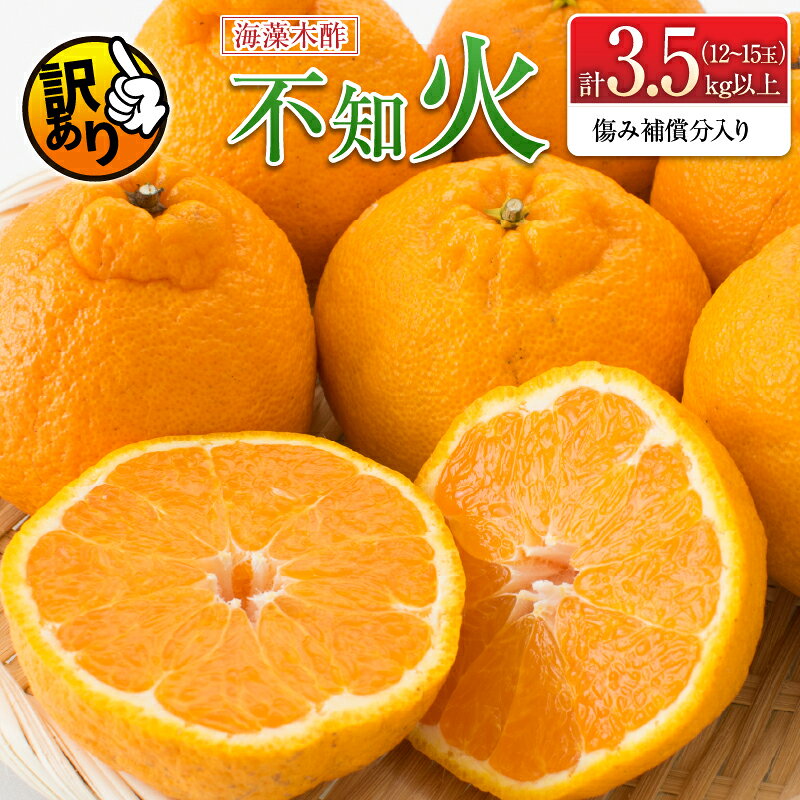 【ふるさと納税】先行予約 訳あり 海藻木酢 不知火 計3.5kg以上 傷み補償分入り フルーツ 果物 くだもの 柑橘 みかん 訳アリ 国産 食品 デザート おやつ おすそ分け おすすめ ご家庭用 ご自宅用 B品 傷 マーマレード 産地直送 宮崎県 日南市 送料無料