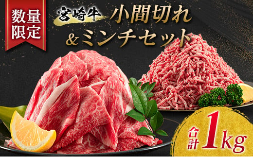 数量限定 宮崎牛 小間切れ ミンチ セット 合計1kg 牛肉 ビーフ 黒毛和牛 国産 ブランド牛 食品 こま切れ 牛ミンチ 挽肉 万能食材 ハンバーグ おすすめ おかず おつまみ お弁当 ご褒美 お祝い 記念日 詰め合わせ お取り寄せ グルメ 宮崎県 日南市 送料無料_BB126-23