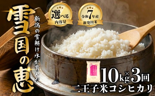 
                  【定期便】令和7年産 コシヒカリ 10kg（5kg×2袋）×3ヶ月 30kg 数量限定 特別栽培米 二王子米 新潟産 新潟米 新発田産 新発田 お米 米 kome 白米 ご飯 こめ ごはん ライス ふるさと納税米 コシヒカリ お弁当 食品 せいだ とんとん市場 ブランド米 人気米 玄米 新潟県 新発田市 seida006_101
                