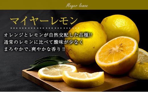 訳あり 先行予約 マイヤーレモン 計10kg以上 フルーツ 果物 柑橘 レモン 檸檬 オレンジ おすすめ おすそ分け お土産 プレゼント お取り寄せ グルメ 国産 食品 デザート スイーツ ブランド 