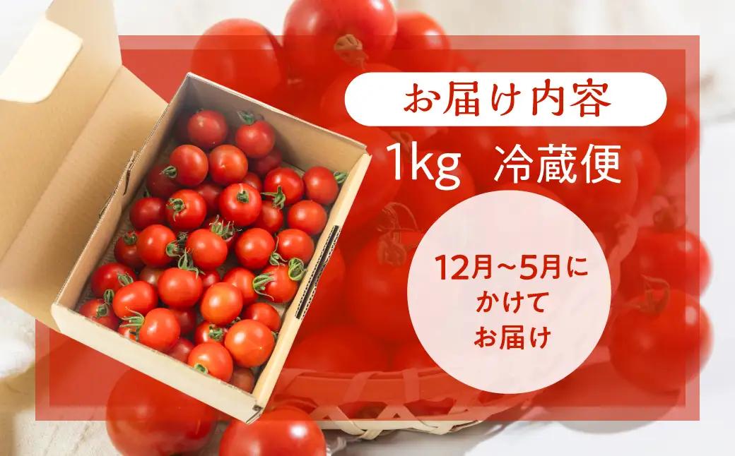 【トマト】≪先行予約≫糖度10度以上  Ban トマト