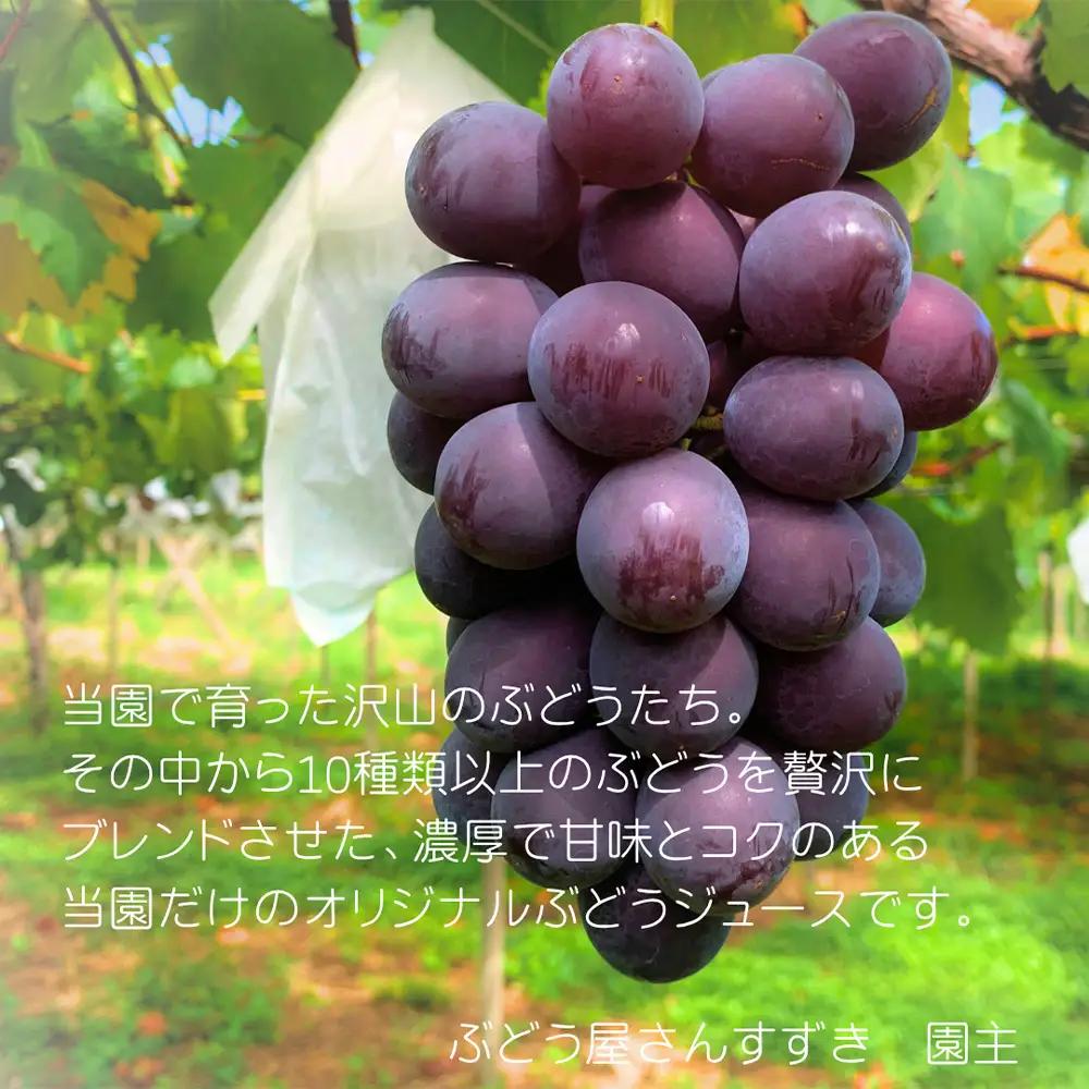 No.526 【ぶどう屋さんすずき】オリジナルブレンド100％ぶどうジュース　1本 ／ 飲み物 グレープ 葡萄 厳選 甘み 酸味 ブレンド 100％ 炭酸 焼酎 愛知県