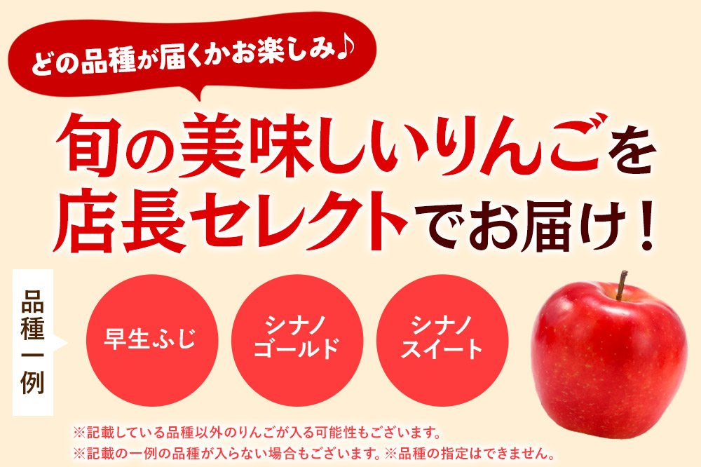 【26年1月発送】りんご 家庭用 訳あり 旬のりんご 品種おまかせ 約5kg 2品種〜4品種